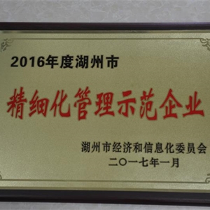湖州九游会J9官网 市精细化管理示范企业